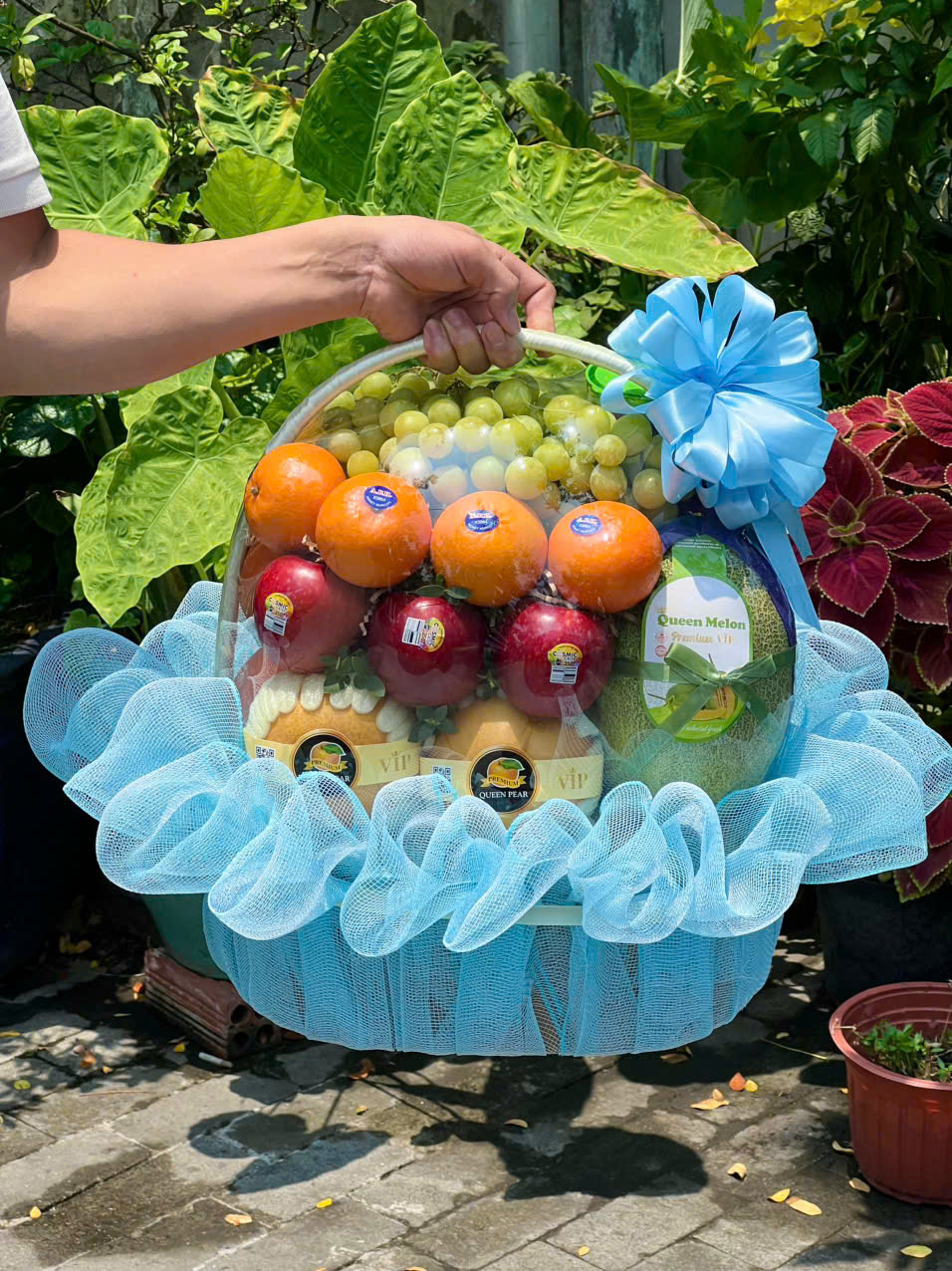 Giỏ trái cây