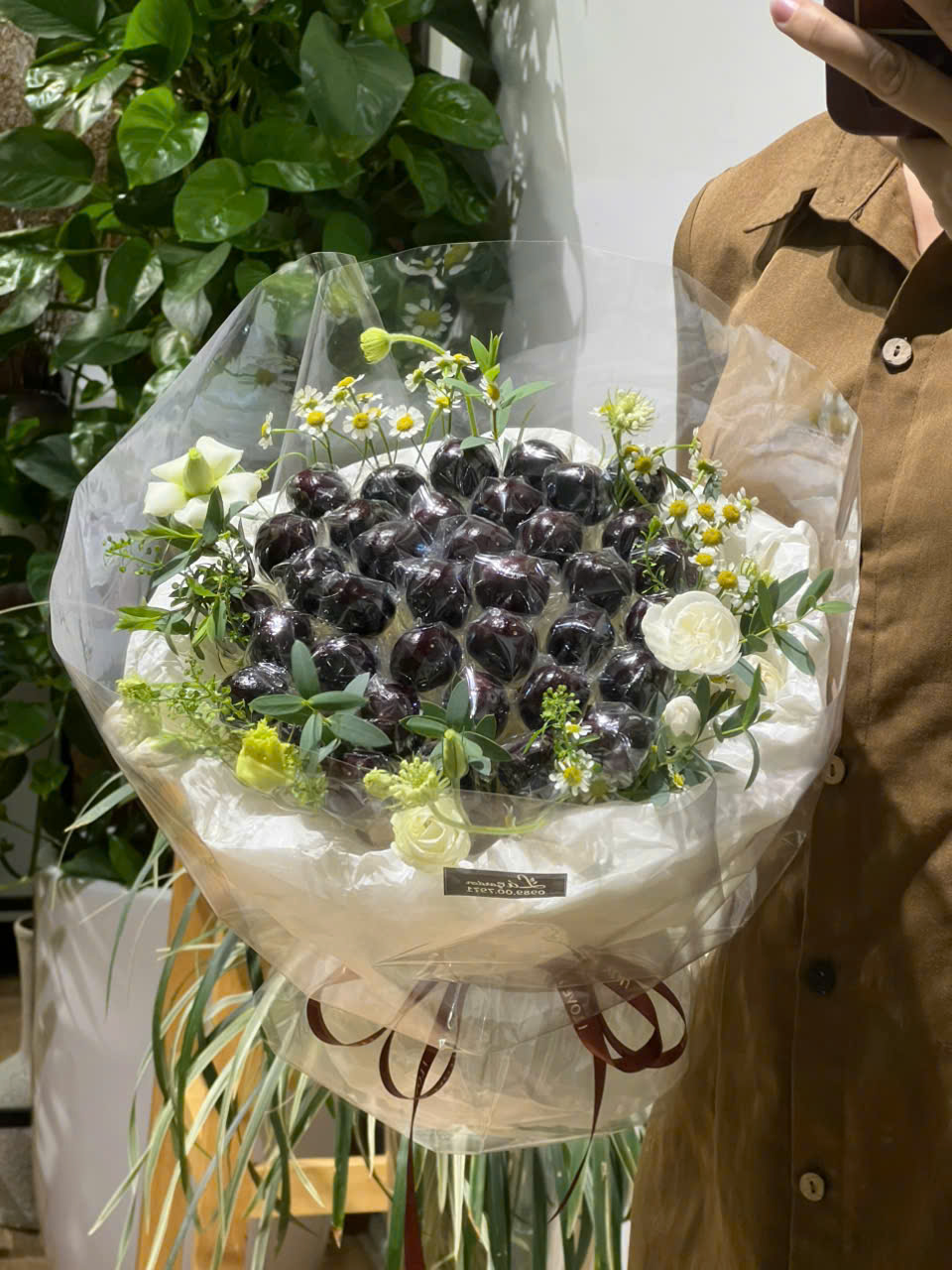 Bó cherry