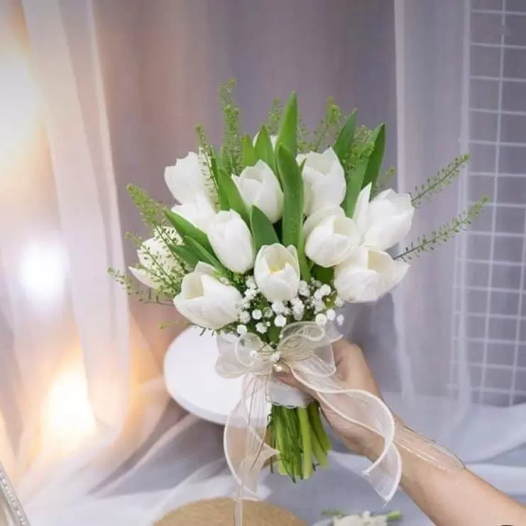 Hoa cưới tulip